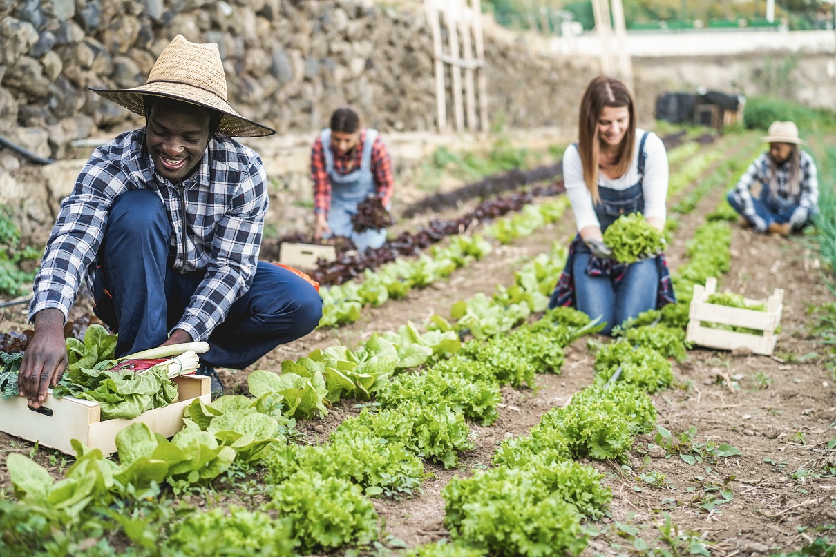 Embracing Sustainability in Agriculture: A Path to a Resilient Future