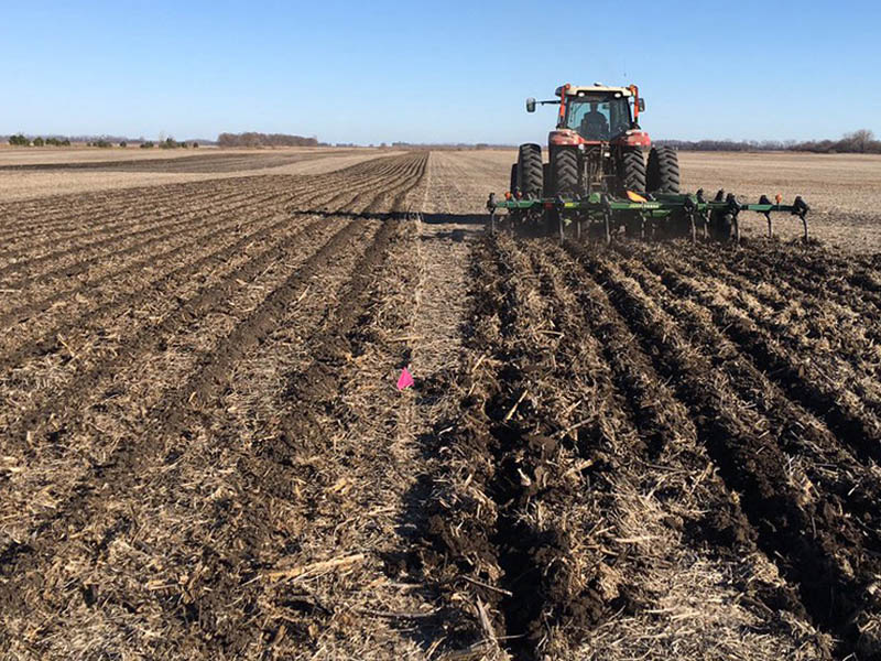 Conservative Tillage and Soil Health in Sustainable Agriculture: A Path Toward Resilience