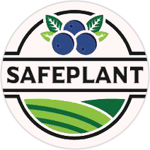 Safeplant Logo